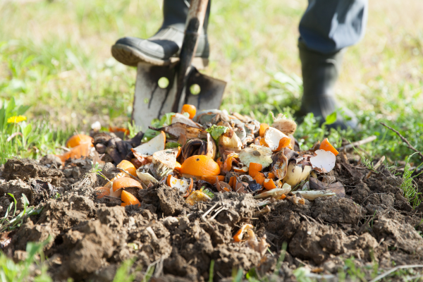 Métodos de Compostagem Rápida para Agricultura Sustentável