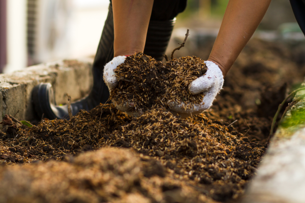 Compostagem de Resíduos de Café para Produtores Artesanais