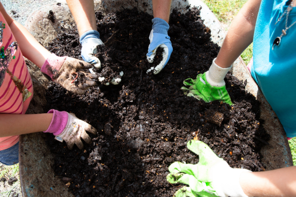 Sistemas de Compostagem Eficientes para Escolas e Instituições