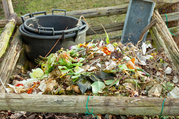 Iniciativas de Compostagem para Redução de Resíduos em Festivais